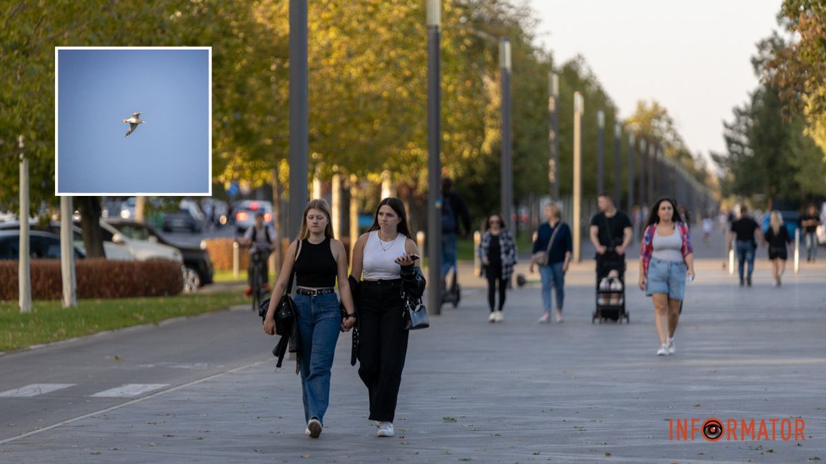 Погода на 11 жовтня: у Дніпрі буде ясно