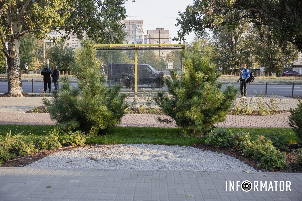 Оригинальные качели, батуты и зеленая зона отдыха: как выглядит новый сквер на Донецком шоссе в Днепре 6