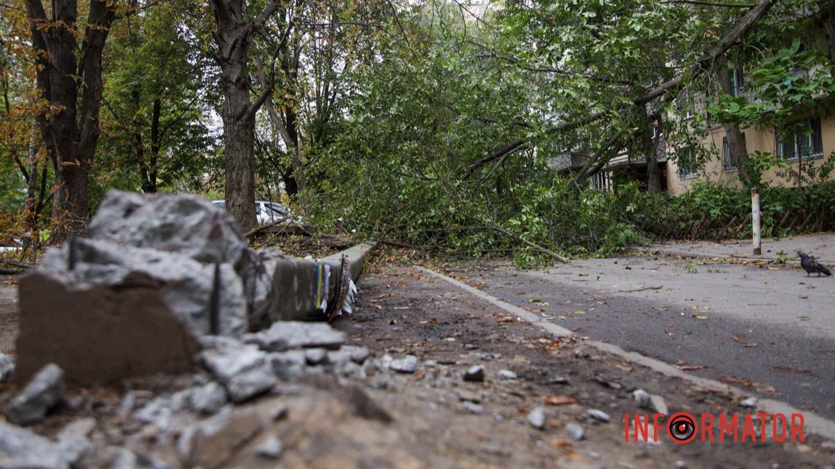 В Днепре на Тополь-2 у подъезда надломилось дерево и упал столб: движение перекрыто