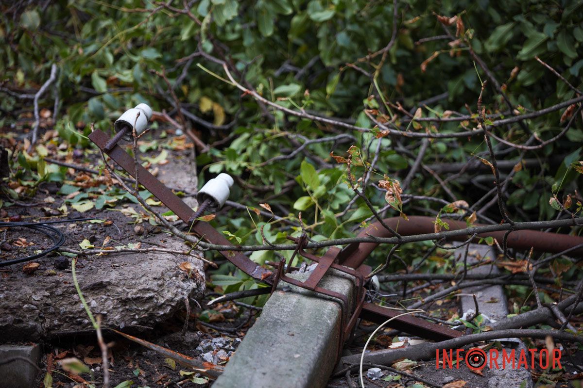 У Дніпрі на Тополя-2 біля під'їзду надломилося дерево і впав стовп: рух перекрито 6