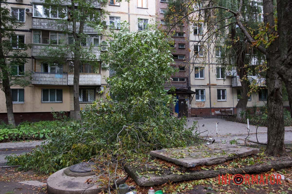 У Дніпрі на Тополя-2 біля під'їзду надломилося дерево і впав стовп: рух перекрито 8