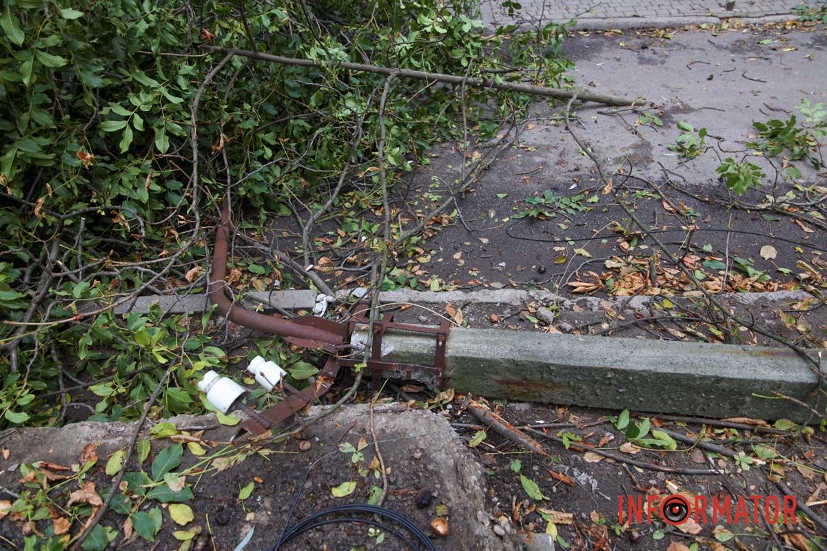 У Дніпрі на Тополя-2 біля під'їзду надломилося дерево і впав стовп: рух перекрито 9