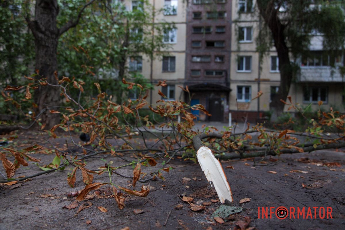 У Дніпрі на Тополя-2 біля під'їзду надломилося дерево і впав стовп: рух перекрито 10
