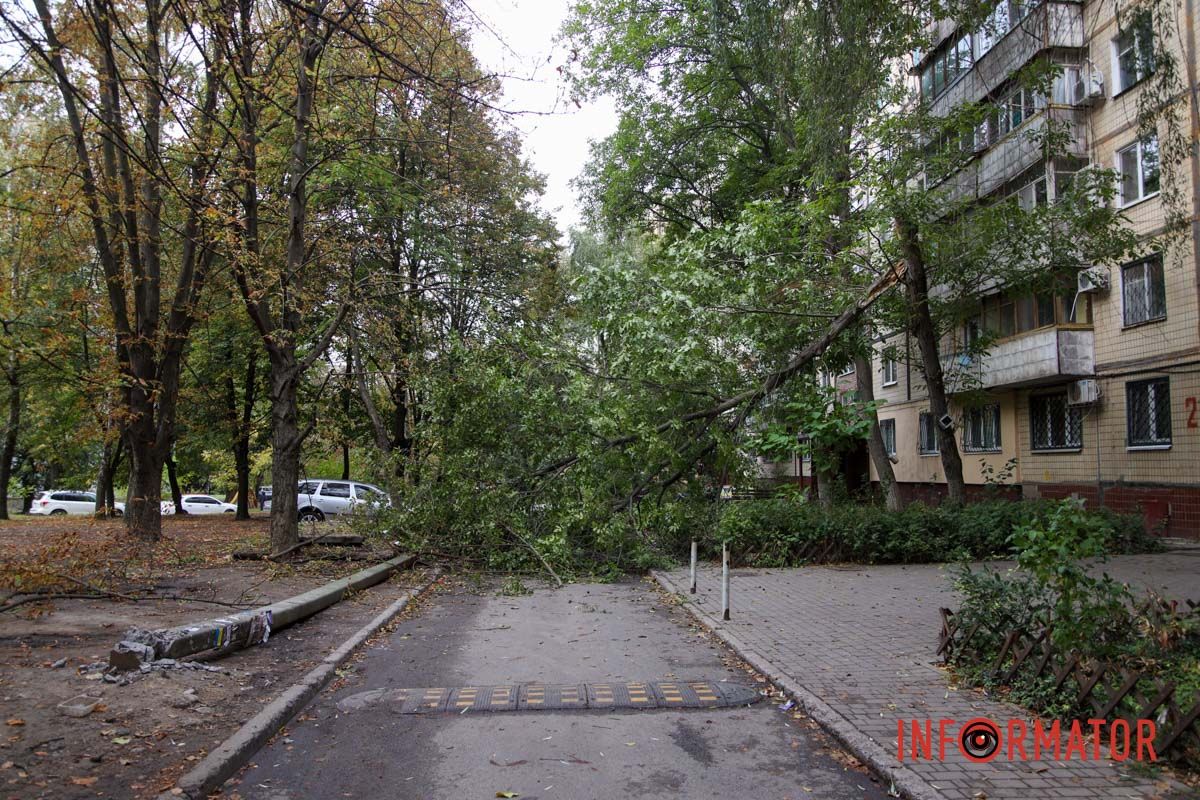 У Дніпрі на Тополя-2 біля під'їзду надломилося дерево і впав стовп: рух перекрито 11