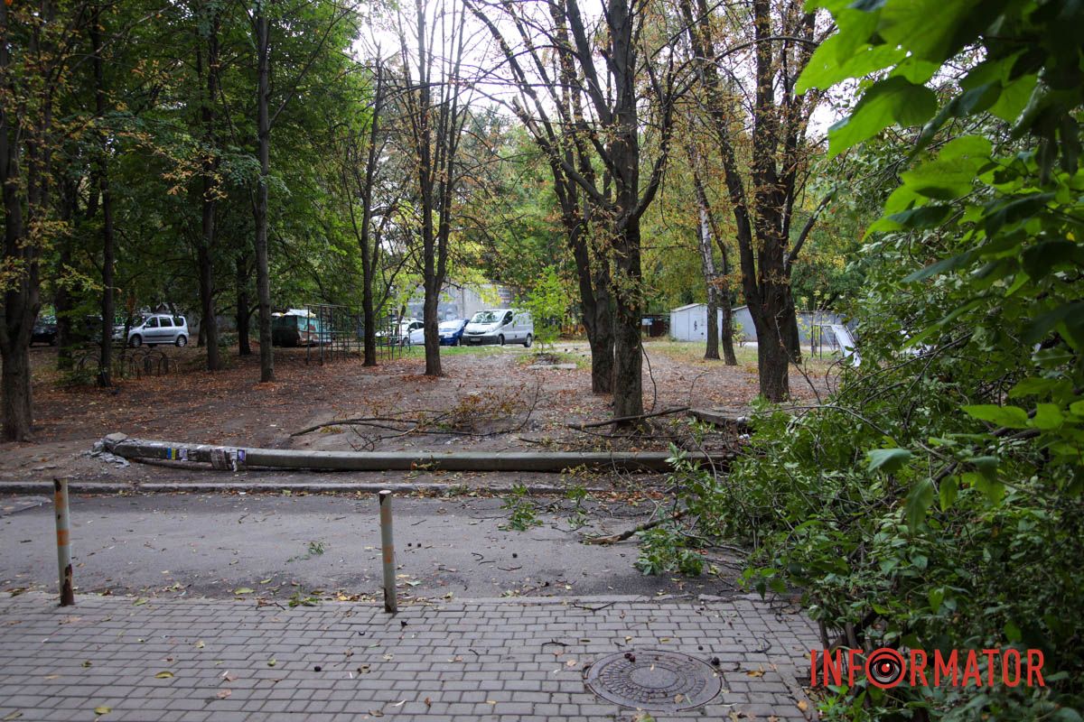 У Дніпрі на Тополя-2 біля під'їзду надломилося дерево і впав стовп: рух перекрито 13