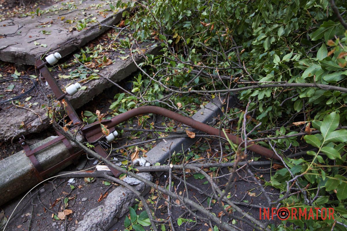 У Дніпрі на Тополя-2 біля під'їзду надломилося дерево і впав стовп: рух перекрито 14