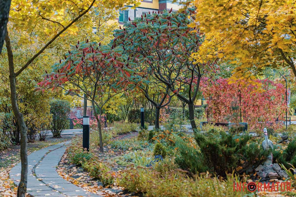 Фото: Андрей Шушпан Фото: Андрей Шушпан