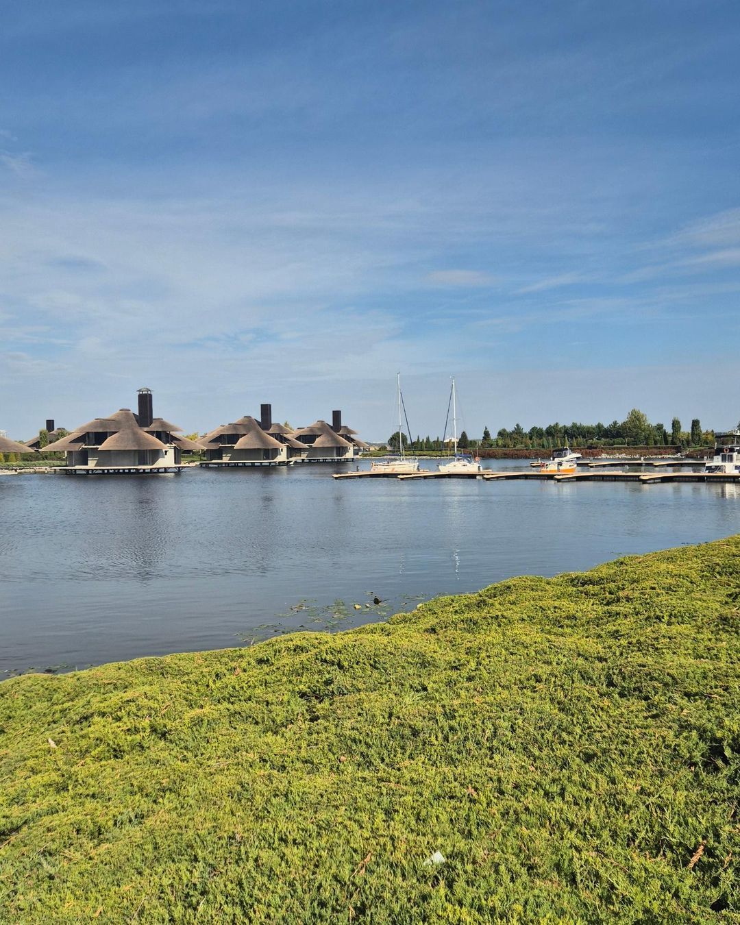 oksana_panibratets, svetlik_vozniuk