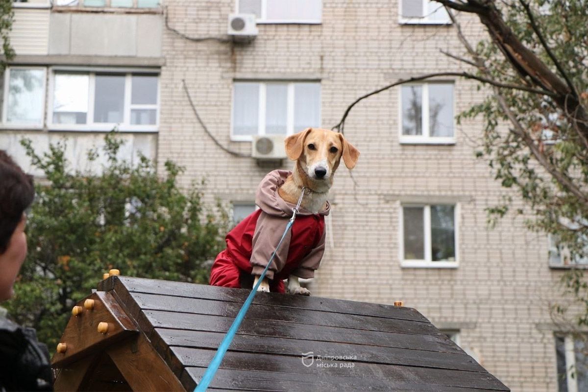 Спасение, помощь, дружба