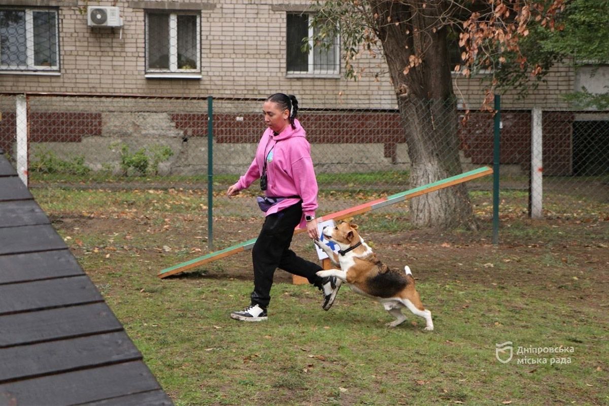 Спасение, помощь, дружба