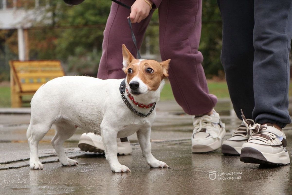 Спасение, помощь, дружба