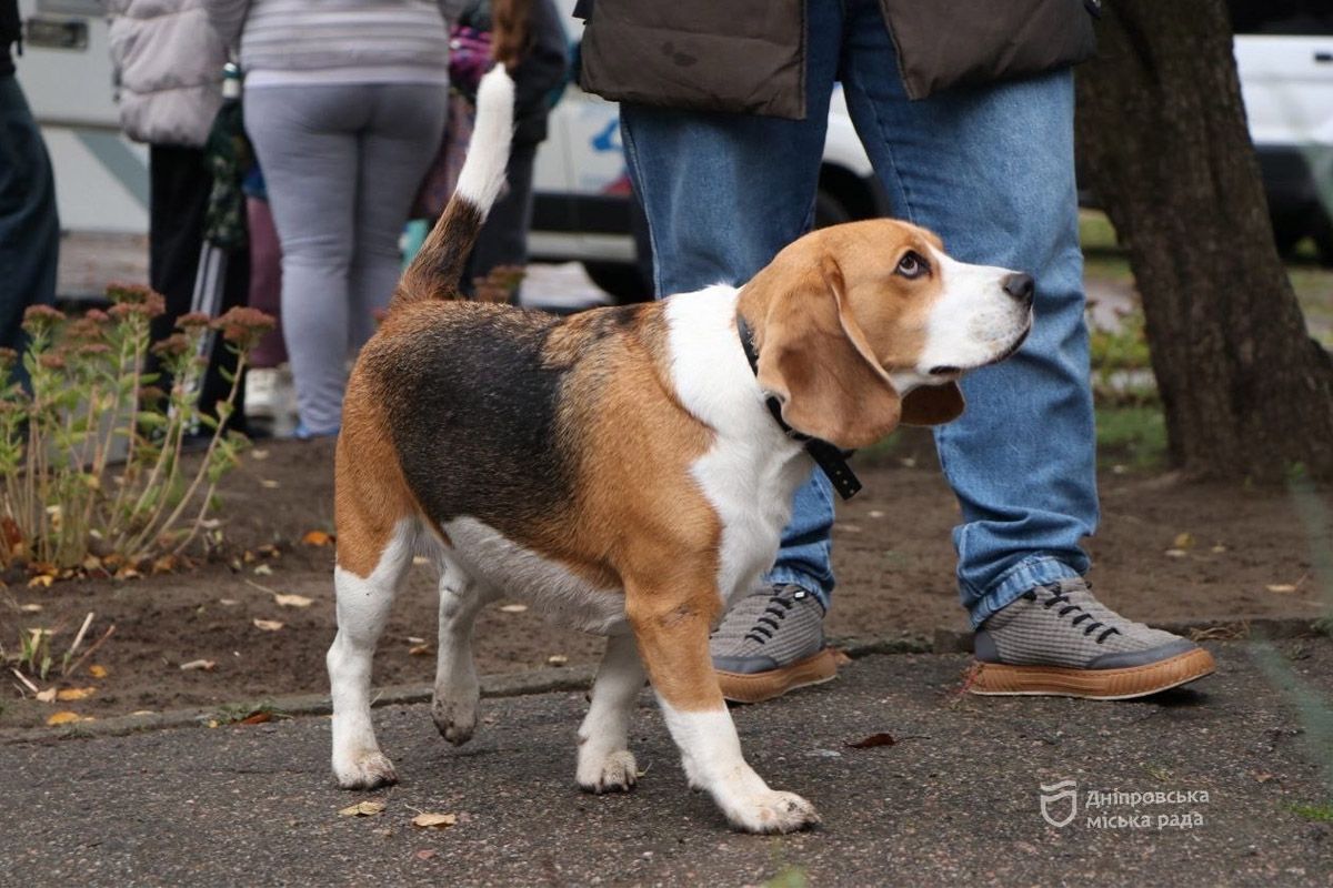 Спасение, помощь, дружба