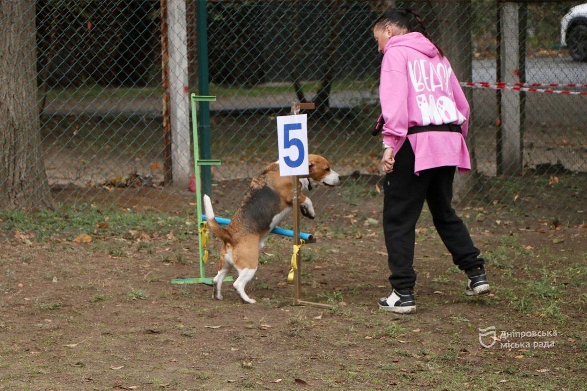 Спасение, помощь, дружба