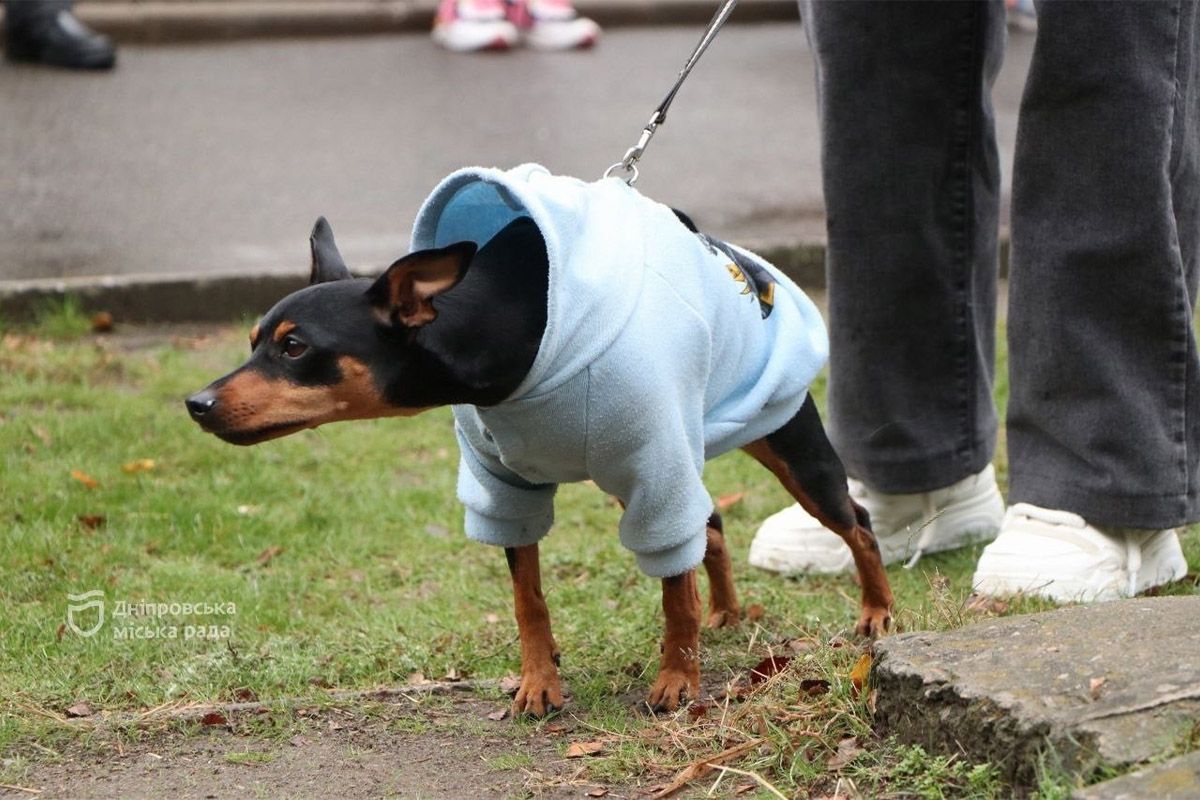 Спасение, помощь, дружба