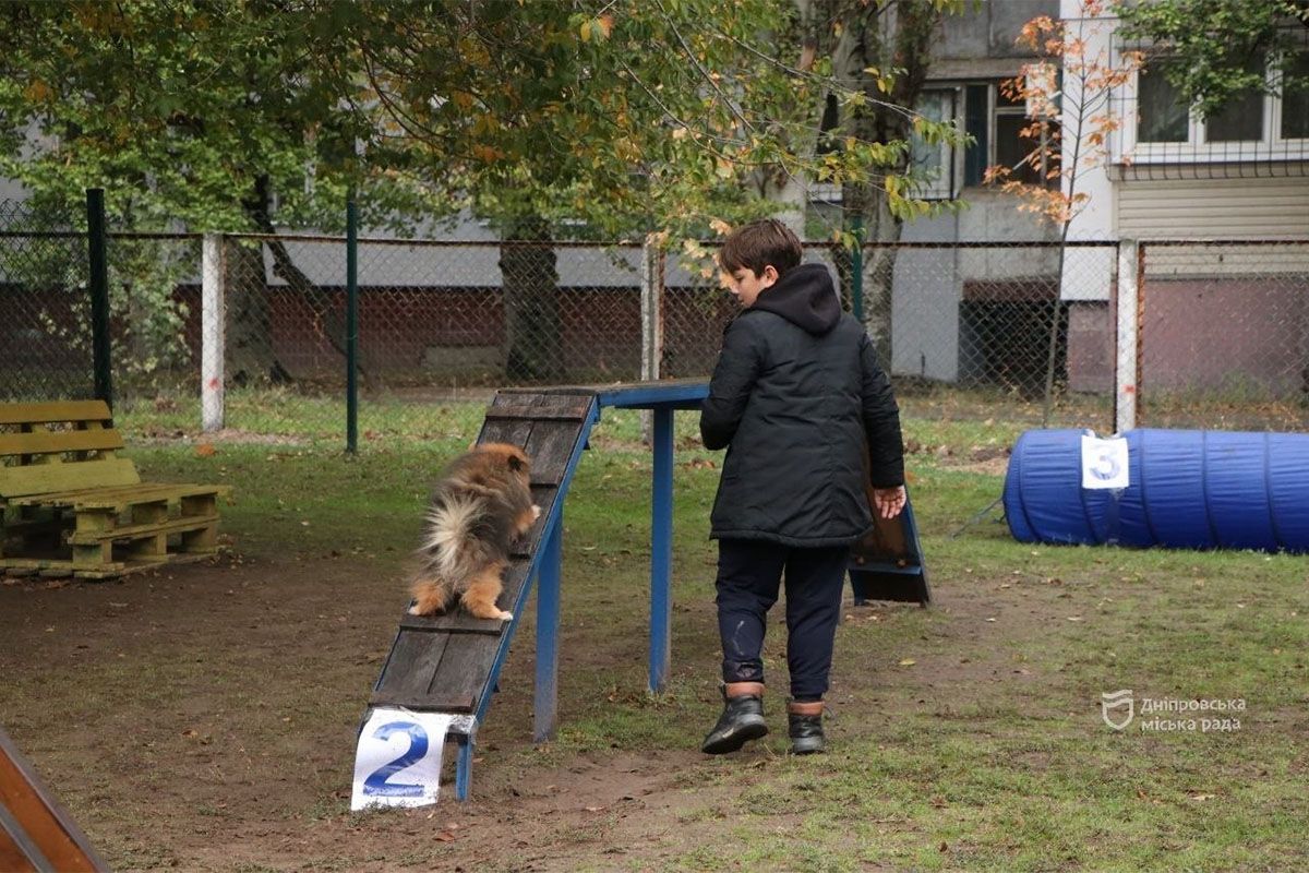 Спасение, помощь, дружба