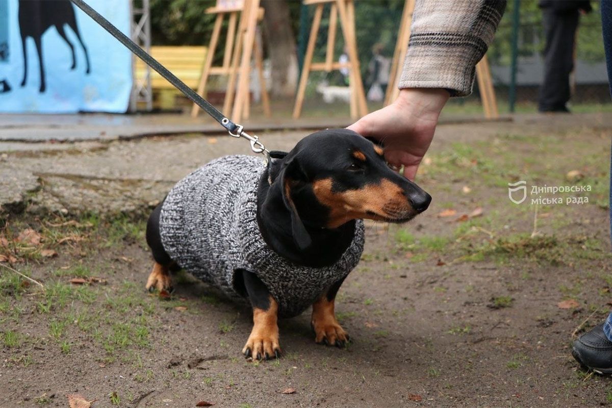 Спасение, помощь, дружба