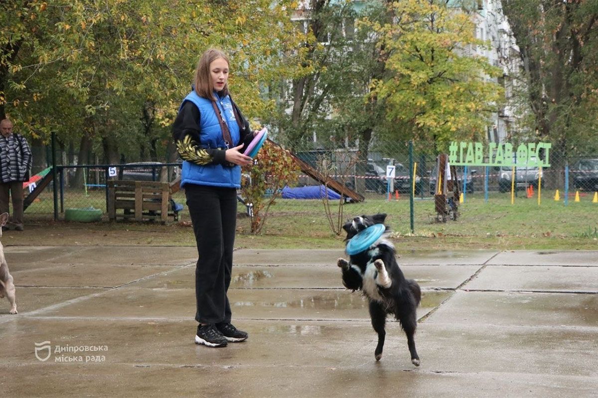 Спасение, помощь, дружба