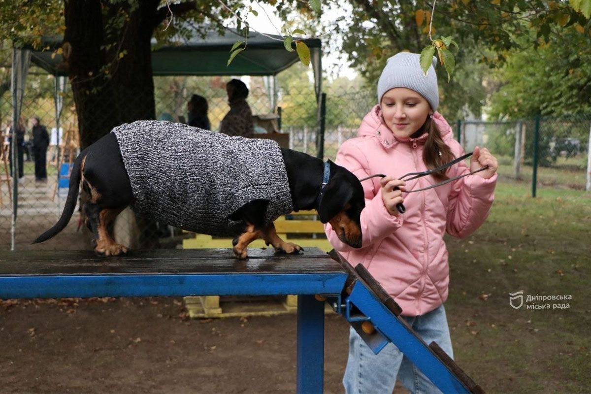 Спасение, помощь, дружба