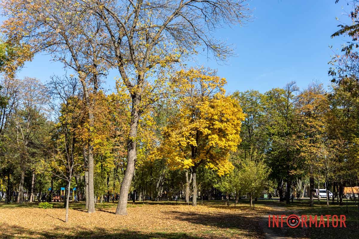 Автор: Катерина Перелісна Автор: Катерина Перелісна