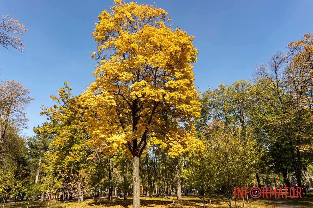тиша й прохолода. тиша й прохолода.