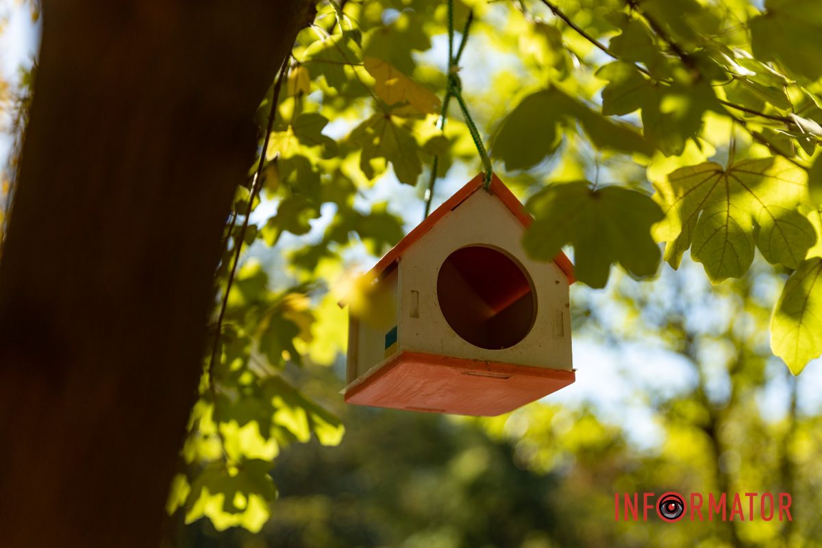 Осінь золотая Осінь золотая