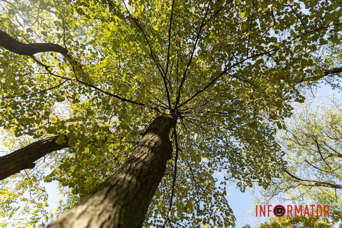 небо синє чисте. небо синє чисте.