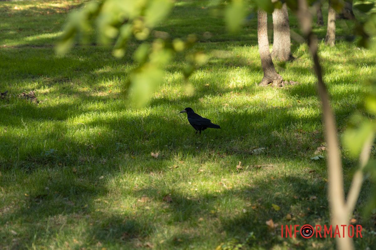 Де не глянь, навколо Де не глянь, навколо