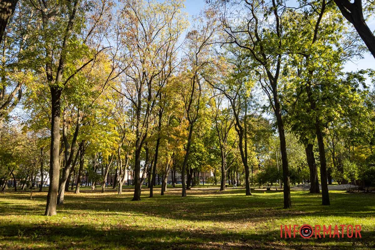 буро-золотаві. буро-золотаві.