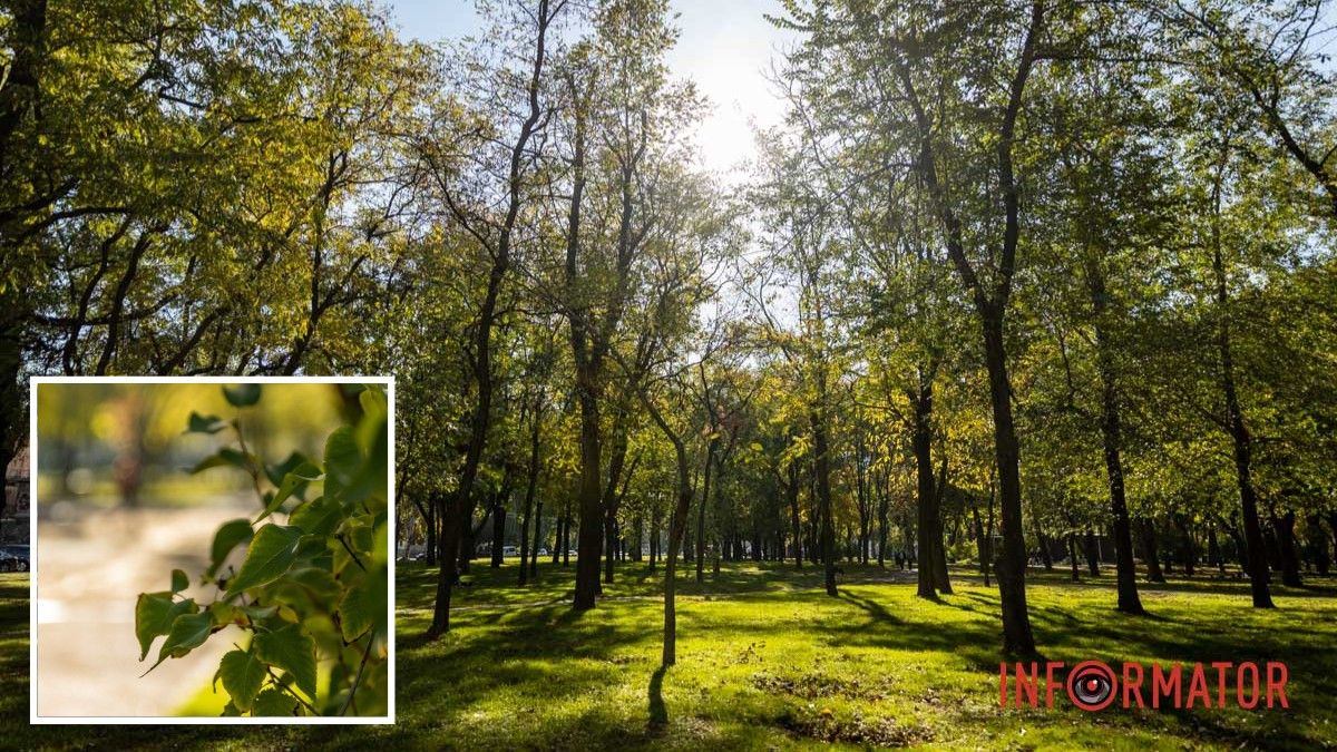До +13 на термометрі: якою буде погода 24 жовтня у Дніпрі