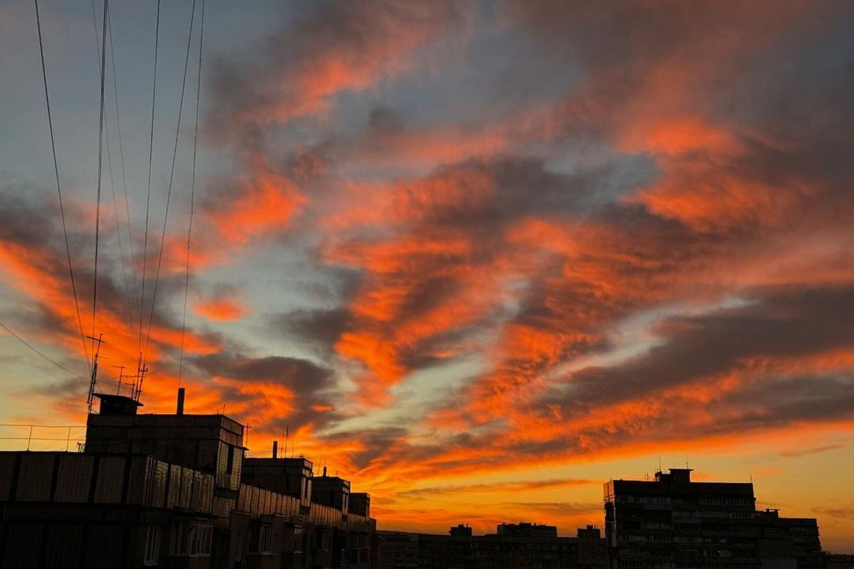 Фото: kate_and_osa Фото: kate_and_osa