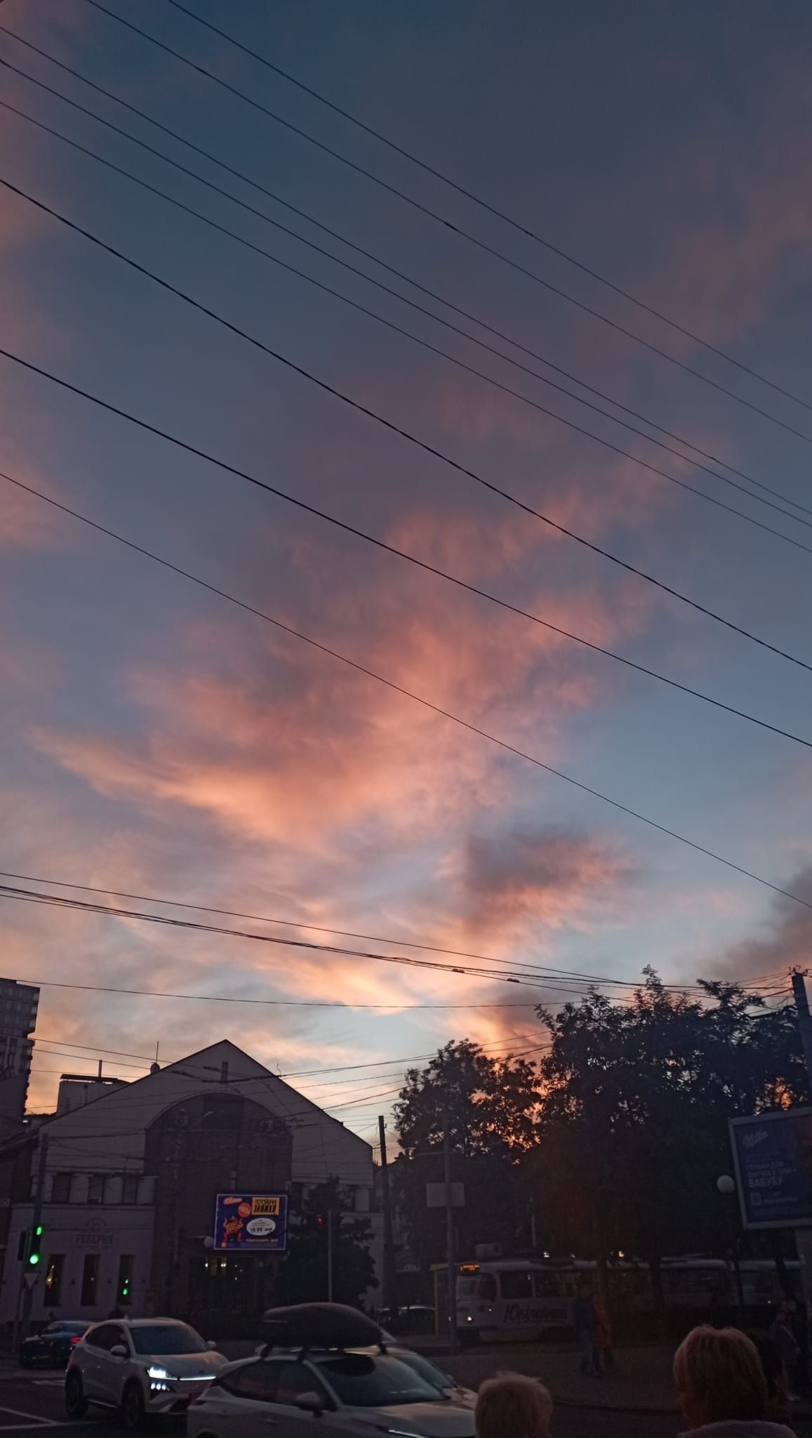 Фото: Tj Hinako Фото: Tj Hinako