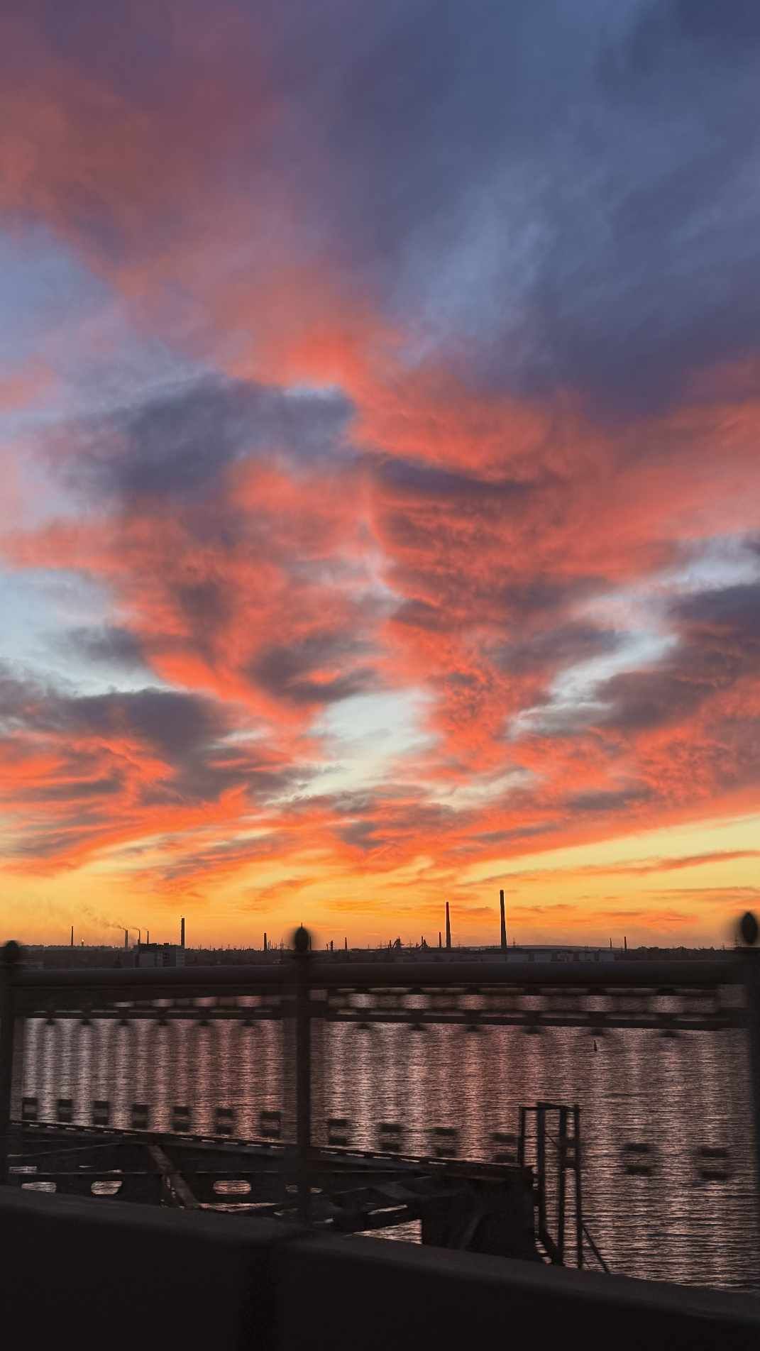 Фото: Галина Колісниченко Фото: Галина Колісниченко