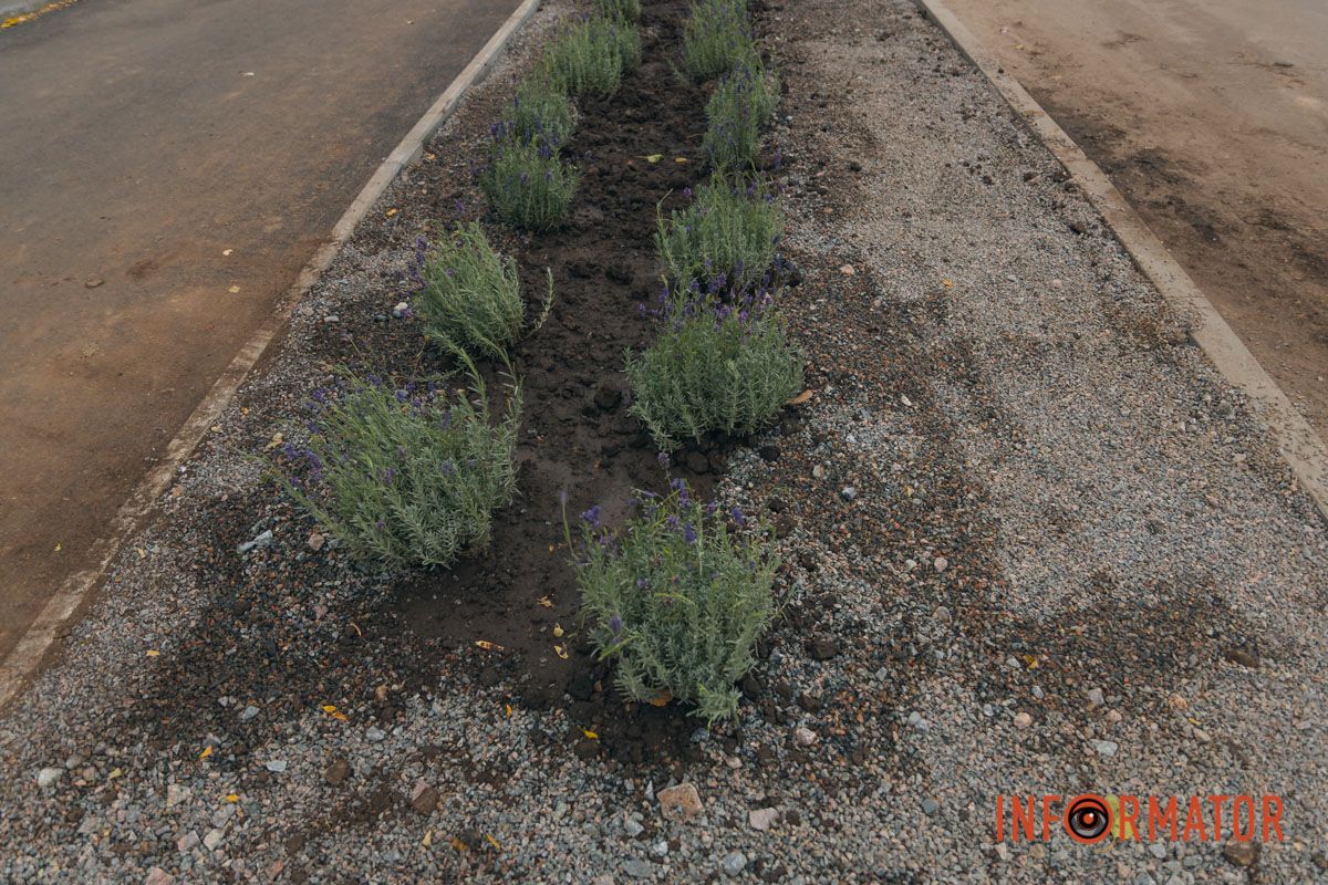 Кого людина любить більше з них.