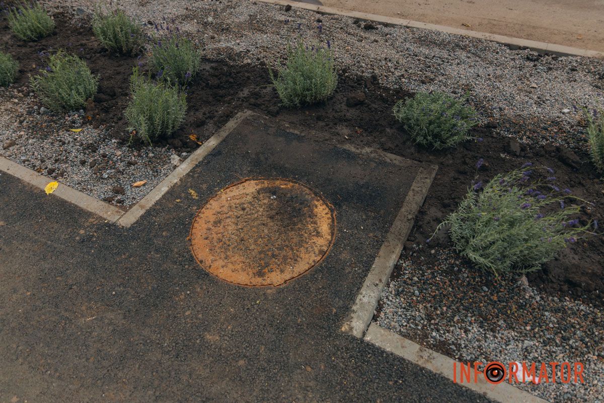 Ось вітерець дарує більше волі,