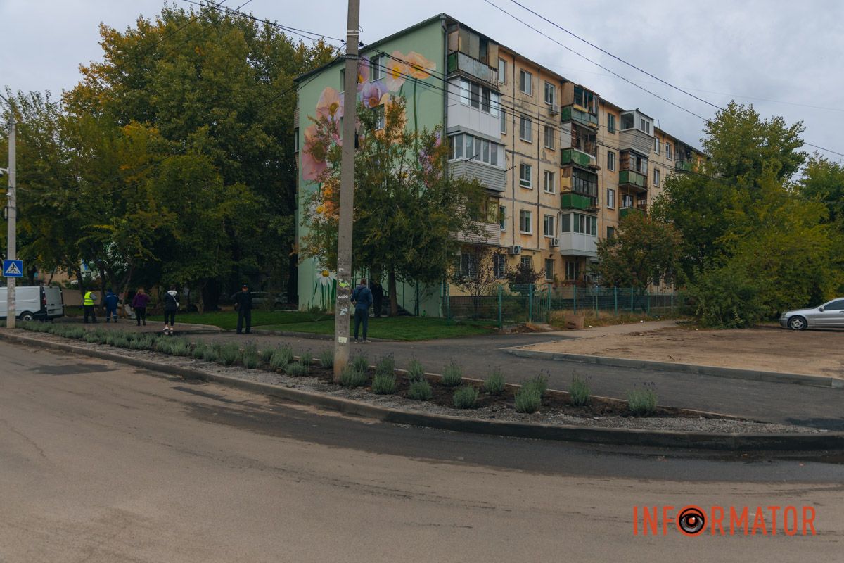 Лавандові поля спішать за обрій,