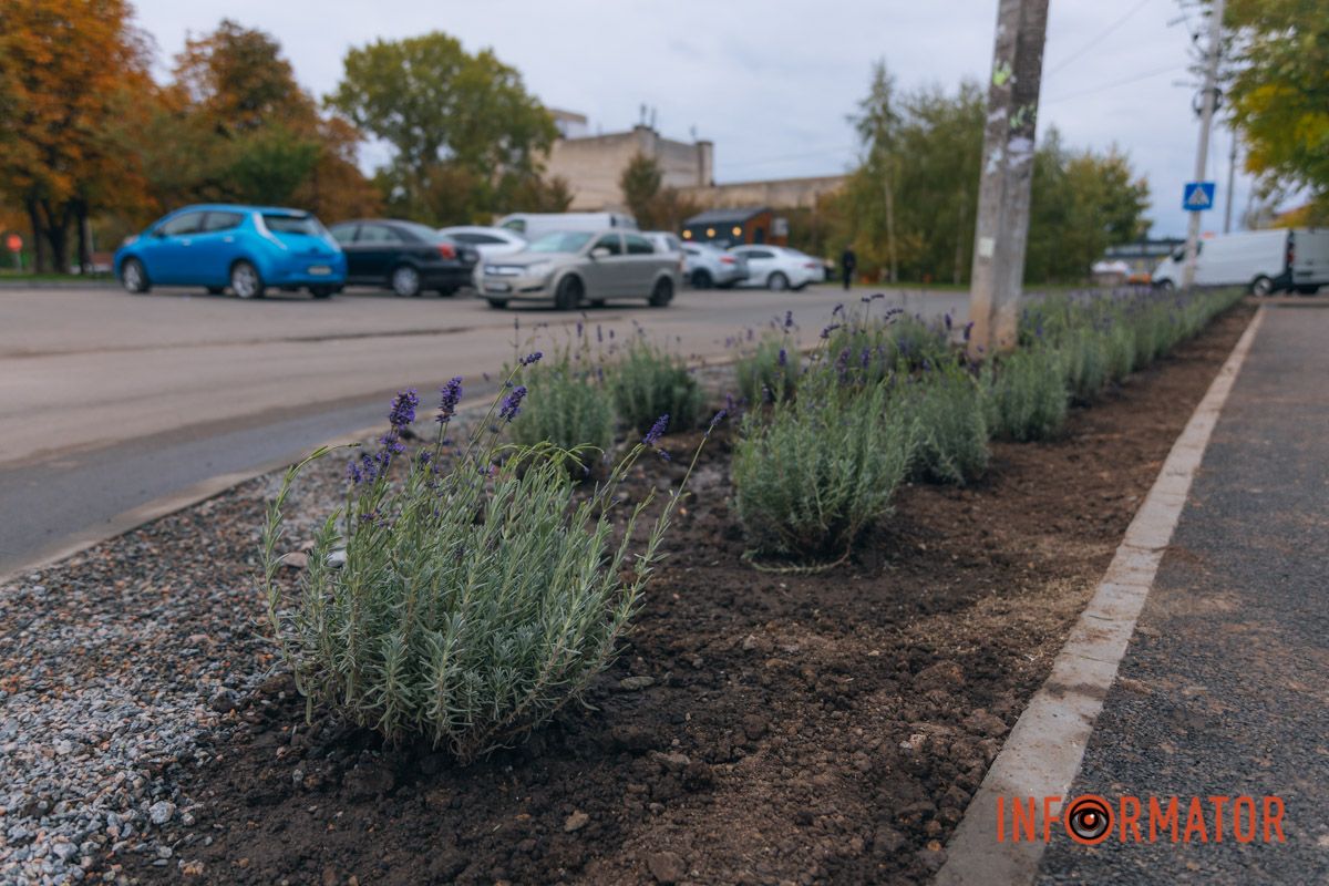 Краса навколо 