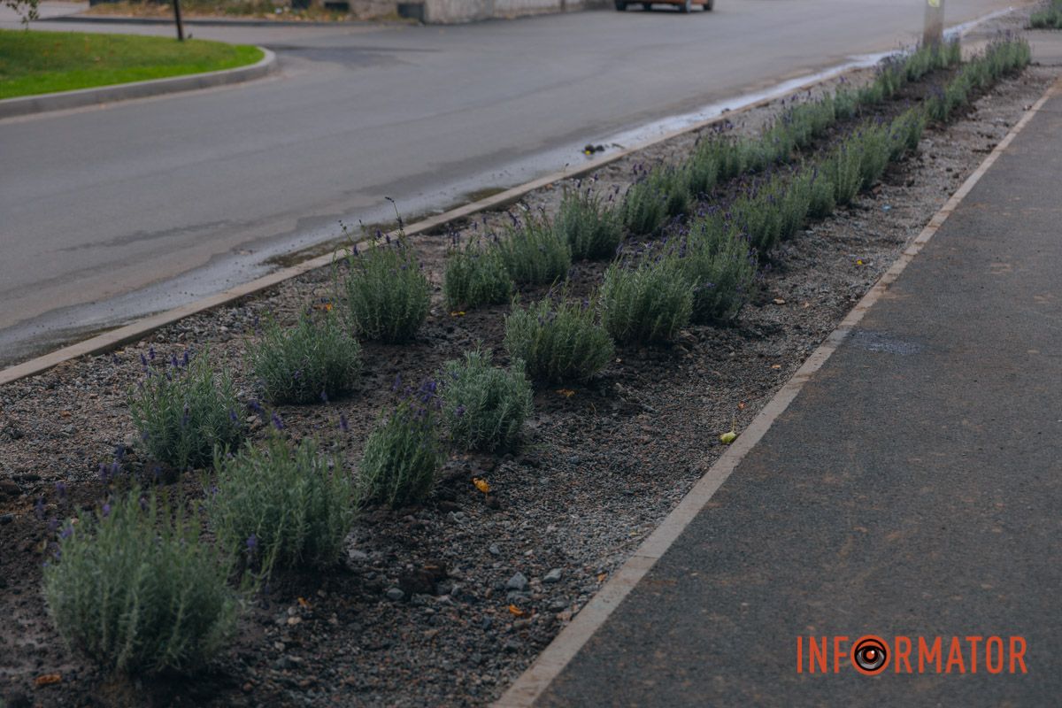 Фото: Денис Чубченко 