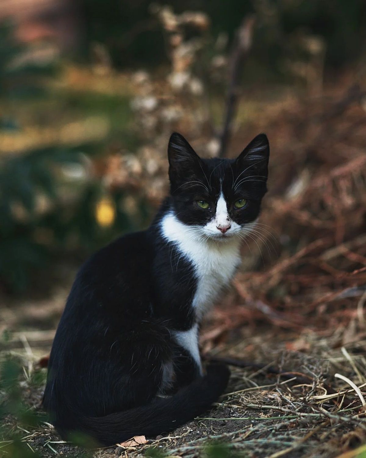 Контрасти осені: щотижнева підбірка фото дніпрян з Instagram 1