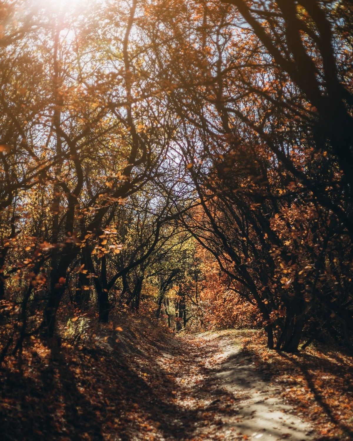 Контрасти осені: щотижнева підбірка фото дніпрян з Instagram 2