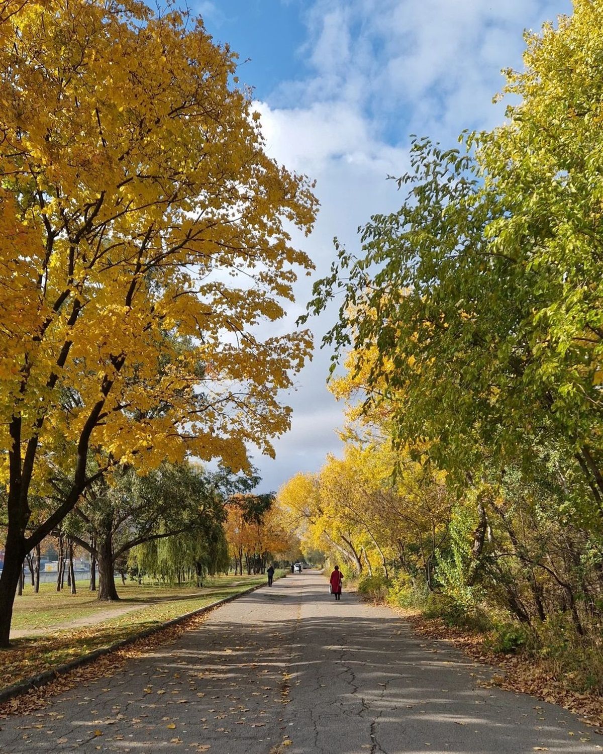 Контрасти осені: щотижнева підбірка фото дніпрян з Instagram 7