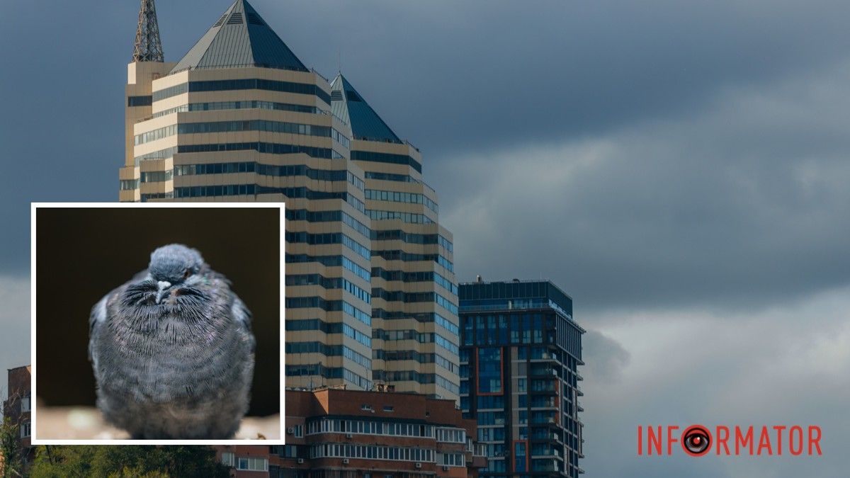 До +12 на термометрі: якою буде погода 29 жовтня у Дніпрі
