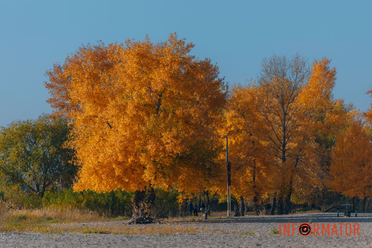 Идеи для ваших фотографий: улицы Днепра украсила невероятная осень 5
