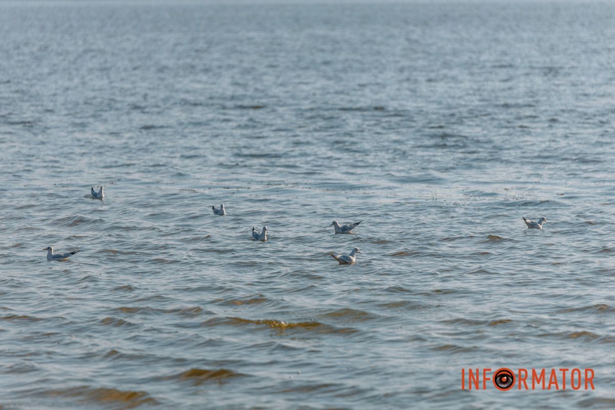 Идеи для ваших фотографий: улицы Днепра украсила невероятная осень 4