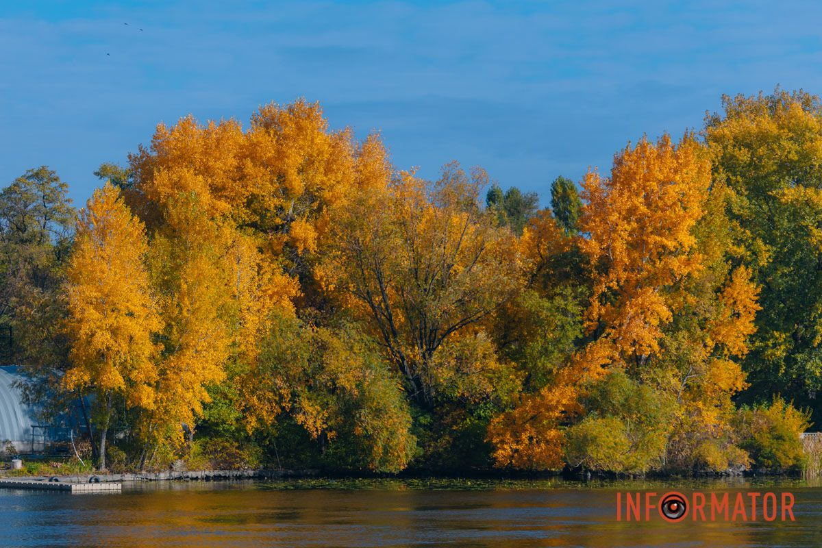 Идеи для ваших фотографий: улицы Днепра украсила невероятная осень 11
