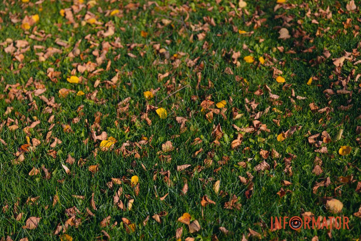 Идеи для ваших фотографий: улицы Днепра украсила невероятная осень 17