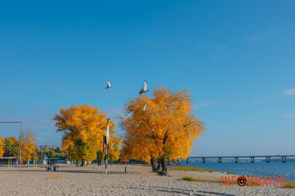 Идеи для ваших фотографий: улицы Днепра украсила невероятная осень 24