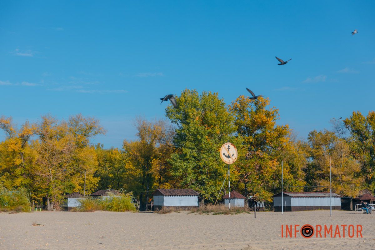 Идеи для ваших фотографий: улицы Днепра украсила невероятная осень 23