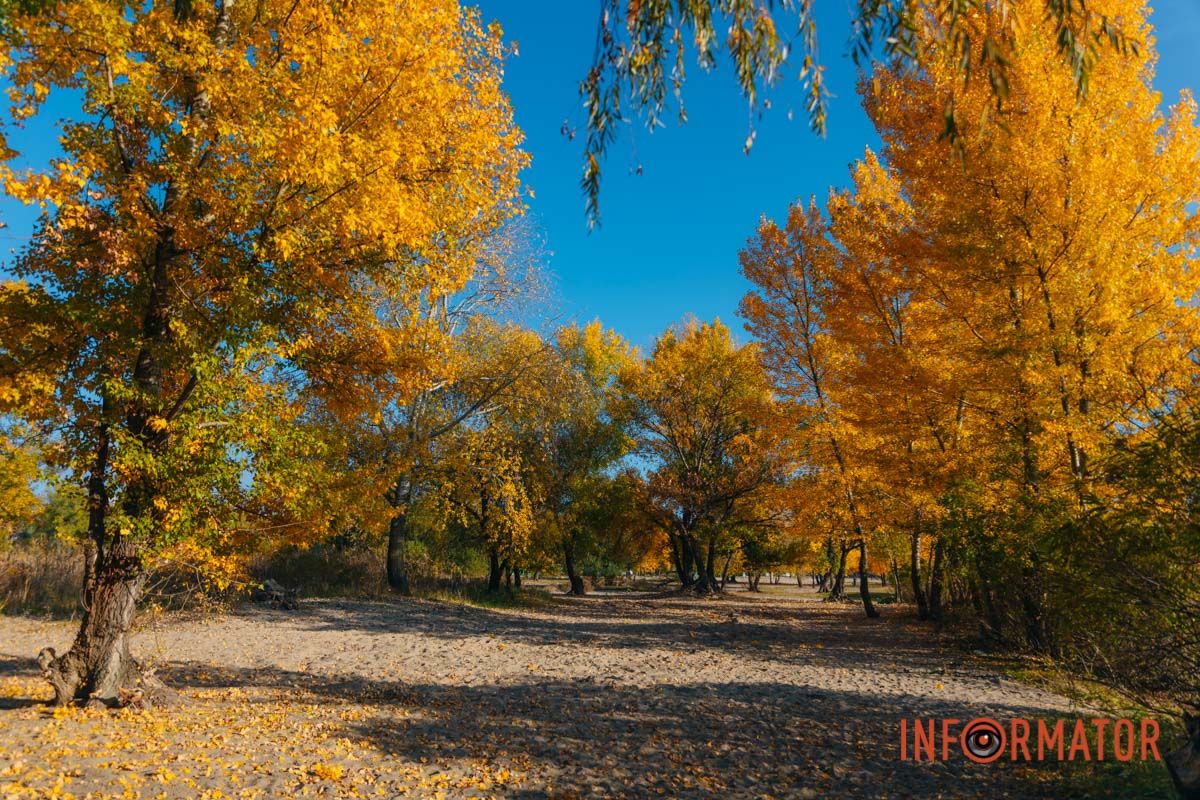Идеи для ваших фотографий: улицы Днепра украсила невероятная осень 20