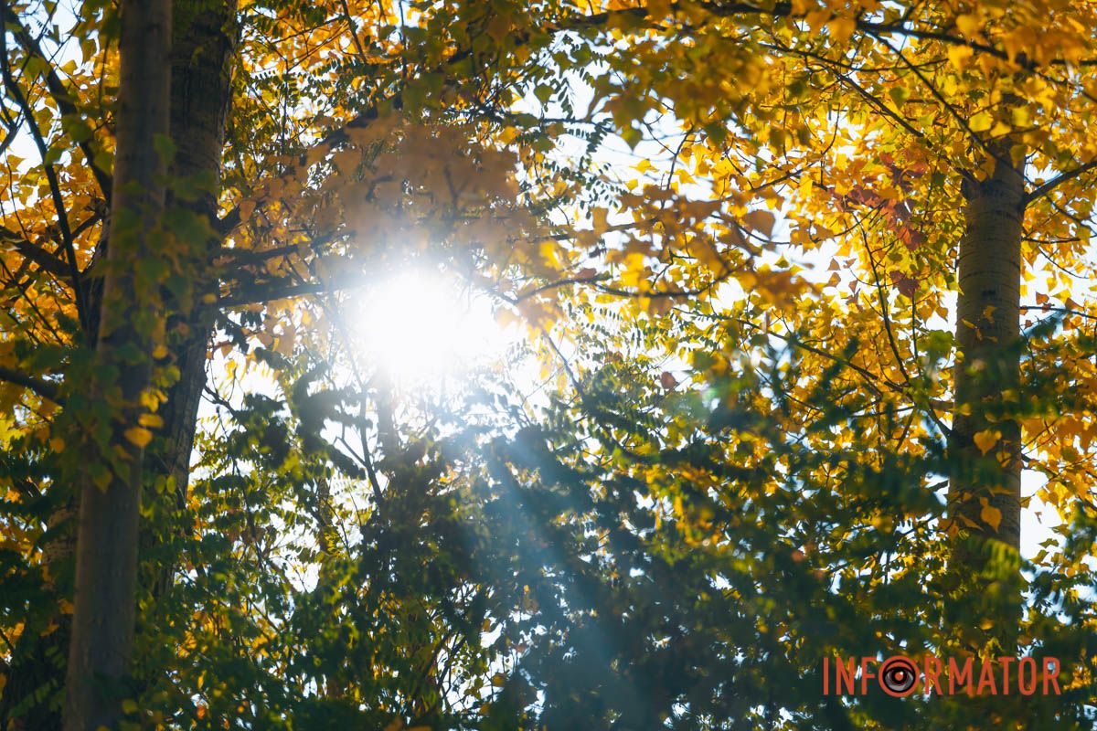 Идеи для ваших фотографий: улицы Днепра украсила невероятная осень 21