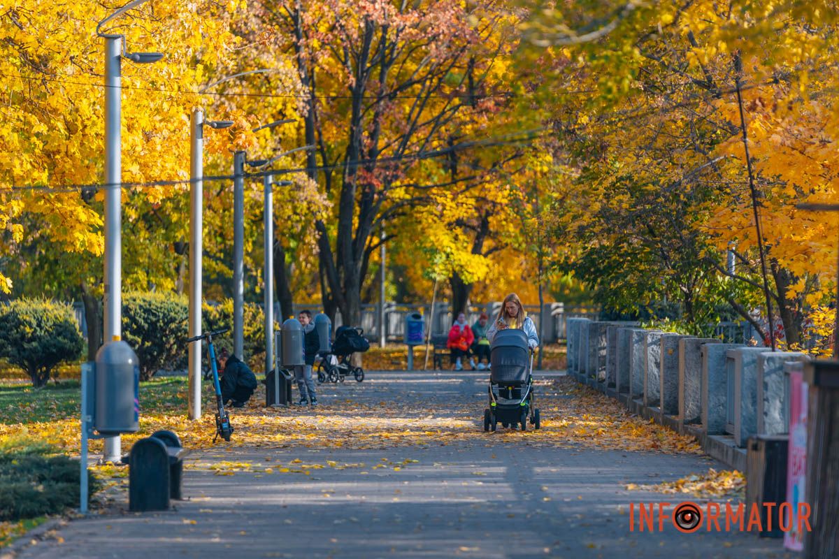 Идеи для ваших фотографий: улицы Днепра украсила невероятная осень 30